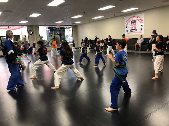 Johnny Gyro Karate Green Belt Classes for Kids